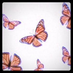 Meet your Posher, Elena